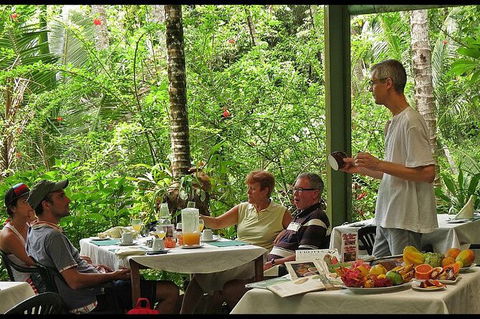 8-Day Cairns Tour: Great Barrier Reef, Kuranda, Daintree Rainforest - Accommodation Mount Tamborine 5