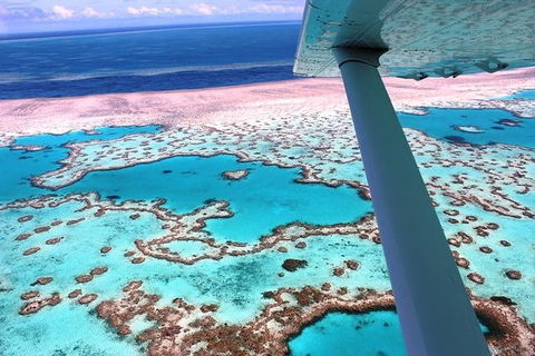 8-Day Cairns Tour: Great Barrier Reef, Kuranda, Daintree Rainforest - Accommodation Mount Tamborine 0