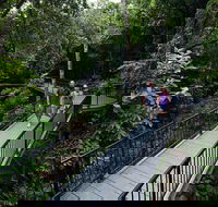 4-Day Cairns with Great Barrier Reef and Daintree Rainforest - Accommodation Mount Tamborine