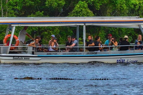 Solar Whisper Daintree River Crocodile And Wildlife Cruise - Accommodation Mount Tamborine 3
