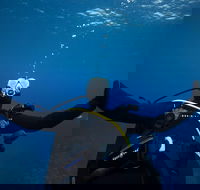 3- Day Advanced Open Water Diver Course on the Gold Coast - Accommodation Mount Tamborine