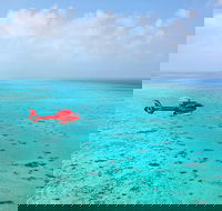 Port Douglas - Cruise and 10 Minute Scenic Flight - Accommodation Mount Tamborine