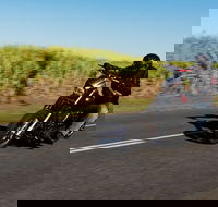 Motorcycle Adventure Tour Gold Coast 1200 - Accommodation Mount Tamborine