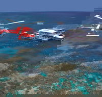 Helicopter and Cruise Packages From Port Douglas - Accommodation Mount Tamborine