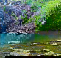 Reef Wildlife  Rainforest - Reef  Beyond Guided Holidays - Accommodation Mount Tamborine