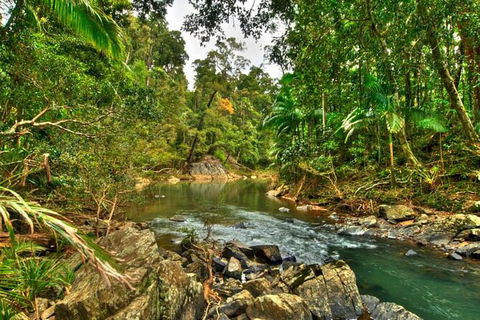 Reef, Wildlife & Rainforest - Reef & Beyond Guided Holidays - Accommodation Mount Tamborine 3