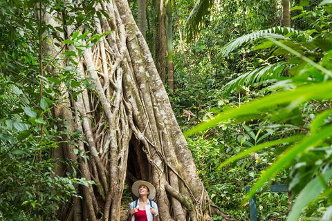 Reef, Wildlife & Rainforest - Reef & Beyond Guided Holidays - Accommodation Mount Tamborine 2