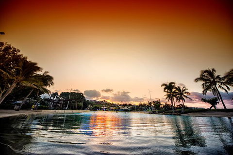 Reef, Wildlife & Rainforest - Reef & Beyond Guided Holidays - Accommodation Mount Tamborine 6