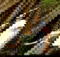 Daintree and Cape Tribulation Full Day Guided Tour - Accommodation Mount Tamborine