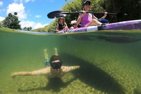 Babinda Half Day Or Full Day Self-Guided Kayaking Experience - Accommodation Mount Tamborine 0