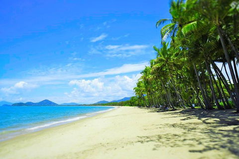 Airport Transfer - Palm Cove, Kewarra Beach & Trinity Beach To Cairns Airport - Accommodation Mount Tamborine 2