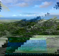 Daintree Luxury Limousine Tour - Full Day - Accommodation Mount Tamborine