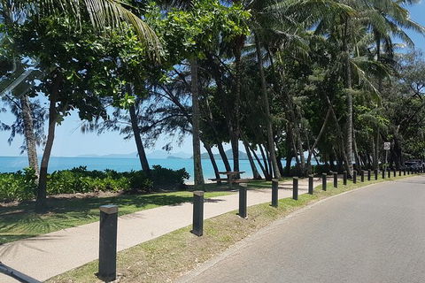 Private Transfers - Cairns Airport To Palm Cove - Accommodation Mount Tamborine 6