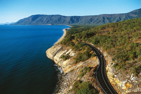 Private Transfers - Cairns Airport To Palm Cove - Accommodation Mount Tamborine 7