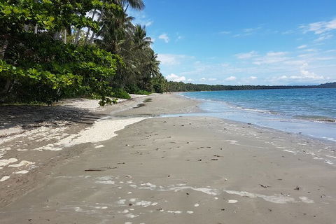 Private Transfers - Cairns Airport To Palm Cove - Accommodation Mount Tamborine 1