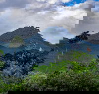 Port Douglas Daintree National Park Boutique Full-Day Tour - Accommodation Mount Tamborine