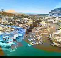 Explore Townsville 7 Hour Guided River Mountain and City Tour - Accommodation Mount Tamborine
