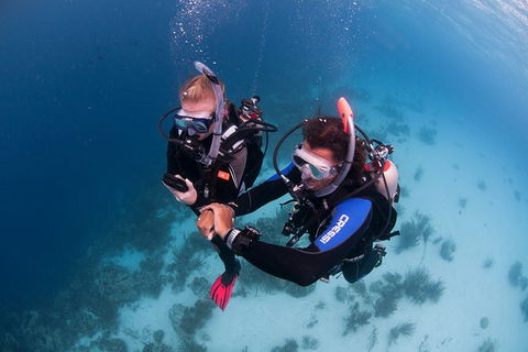 PADI Diving Courses On The Gold Coast - Accommodation Mount Tamborine 5