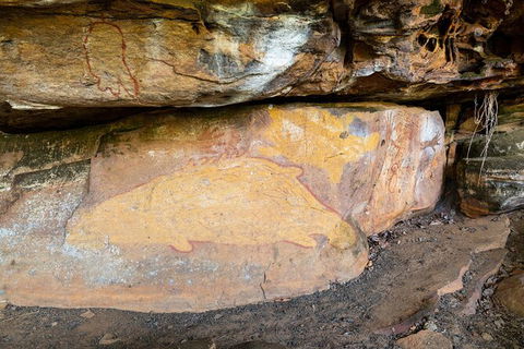 Half Day Aboriginal Rock Art Experience In Queensland - Accommodation Mount Tamborine 3