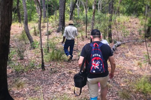 Half Day Aboriginal Rock Art Experience In Queensland - Accommodation Mount Tamborine 5