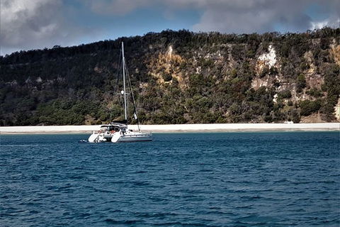 Bareboat Hire - Cattitude 7 Nights - Accommodation Mount Tamborine 0