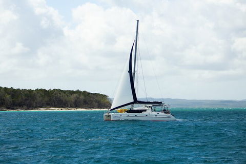Bareboat Hire - Cattitude 7 Nights - Accommodation Mount Tamborine 3