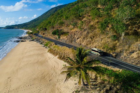 World Heritage Highlights: Reef/Daintree/Cape Tribulation - Accommodation Mount Tamborine 5