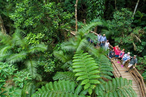 World Heritage Highlights: Reef/Daintree/Cape Tribulation - Accommodation Mount Tamborine 3