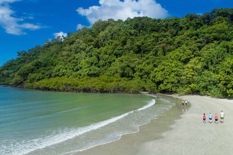 World Heritage Highlights: Reef/Daintree/Cape Tribulation - Accommodation Mount Tamborine 12