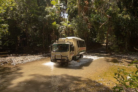 World Heritage Highlights: Reef/Daintree/Cape Tribulation - Accommodation Mount Tamborine 6