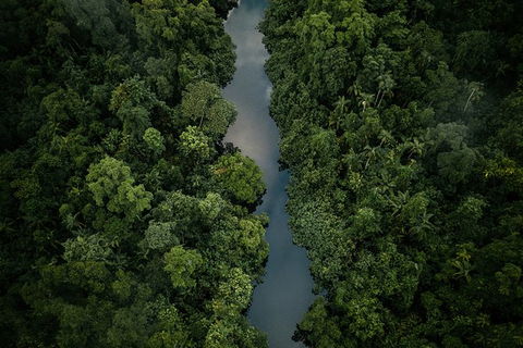 World Heritage Highlights: Reef/Daintree/Cape Tribulation - Accommodation Mount Tamborine 10