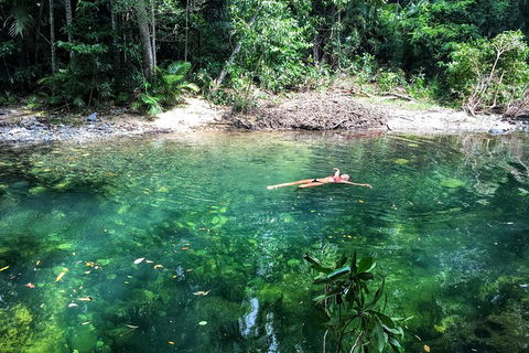 World Heritage Highlights: Reef/Daintree/Cape Tribulation - Accommodation Mount Tamborine 4