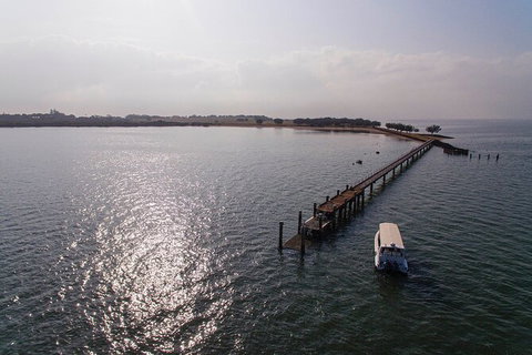 Half Day St. Helena Island Tour - Accommodation Mount Tamborine 4