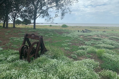 Half Day St. Helena Island Tour - Accommodation Mount Tamborine 1
