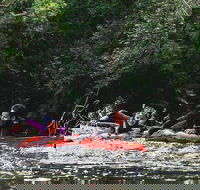 Mossman Gorge Adventure Day - Accommodation Mount Tamborine