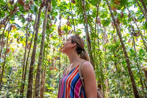 5 Day Australia Retreat: Queensland Daintree - Accommodation Mount Tamborine 3