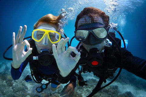 2 Night Whitsunday Islands Cruise On Atlantic Clipper From Airlie Beach - Accommodation Mount Tamborine 4