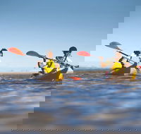 Kangaroo Island Self-Guided Kayaking on the Harriet River - Accommodation Mount Tamborine
