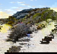 Quad Bike ATV Tours - Accommodation Mount Tamborine