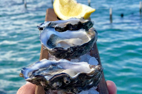 Coffin Bay Oysters, Ocean & Nature Tour - Accommodation Mount Tamborine 0