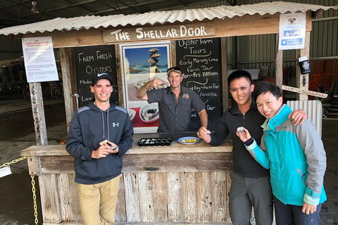 Coffin Bay Oysters, Ocean & Nature Tour - Accommodation Mount Tamborine 13