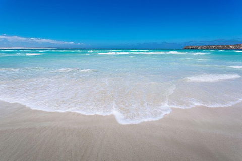 Coffin Bay Oysters, Ocean & Nature Tour - Accommodation Mount Tamborine 14