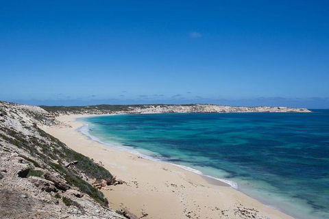 Coffin Bay Oysters, Ocean & Nature Tour - Accommodation Mount Tamborine 16