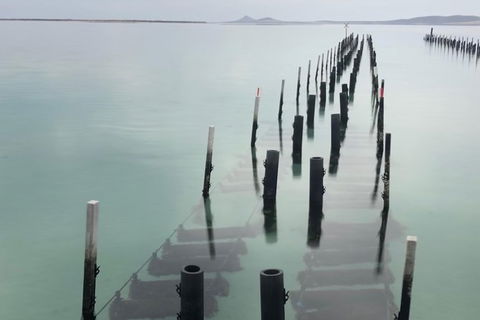 Coffin Bay Oysters, Ocean & Nature Tour - Accommodation Mount Tamborine 15