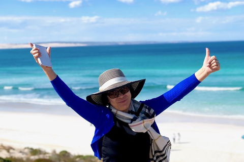 Coffin Bay Oysters, Ocean & Nature Tour - Accommodation Mount Tamborine 11