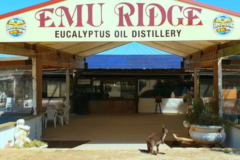 Full-Day Kangaroo Island Safari From Penneshaw - Accommodation Mount Tamborine 3