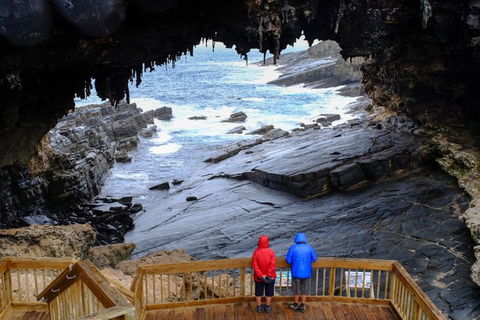 Full-Day Kangaroo Island Safari From Penneshaw - Accommodation Mount Tamborine 1