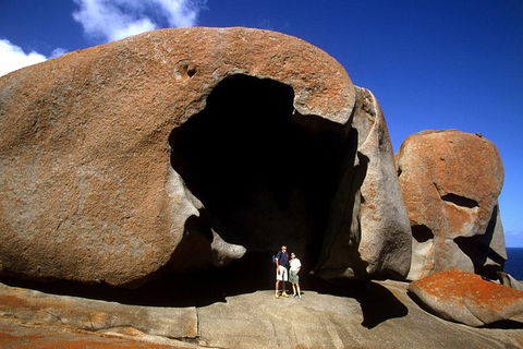Full-Day Kangaroo Island Safari From Penneshaw - Accommodation Mount Tamborine 0