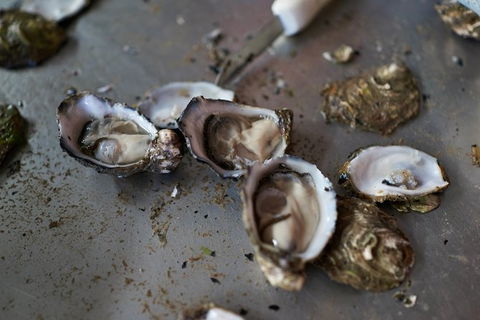 Fine Flavours - Full Day Kangaroo Island Food & Wine Tour - Accommodation Mount Tamborine 10
