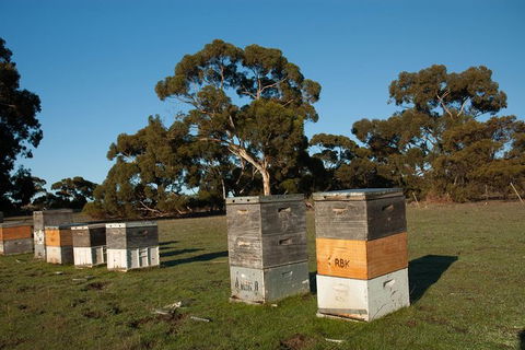 Fine Flavours - Full Day Kangaroo Island Food & Wine Tour - Accommodation Mount Tamborine 5